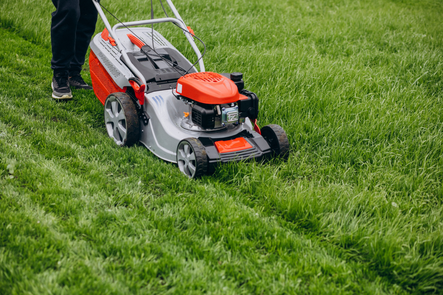 Deep Cleaning: When and Why You Need It