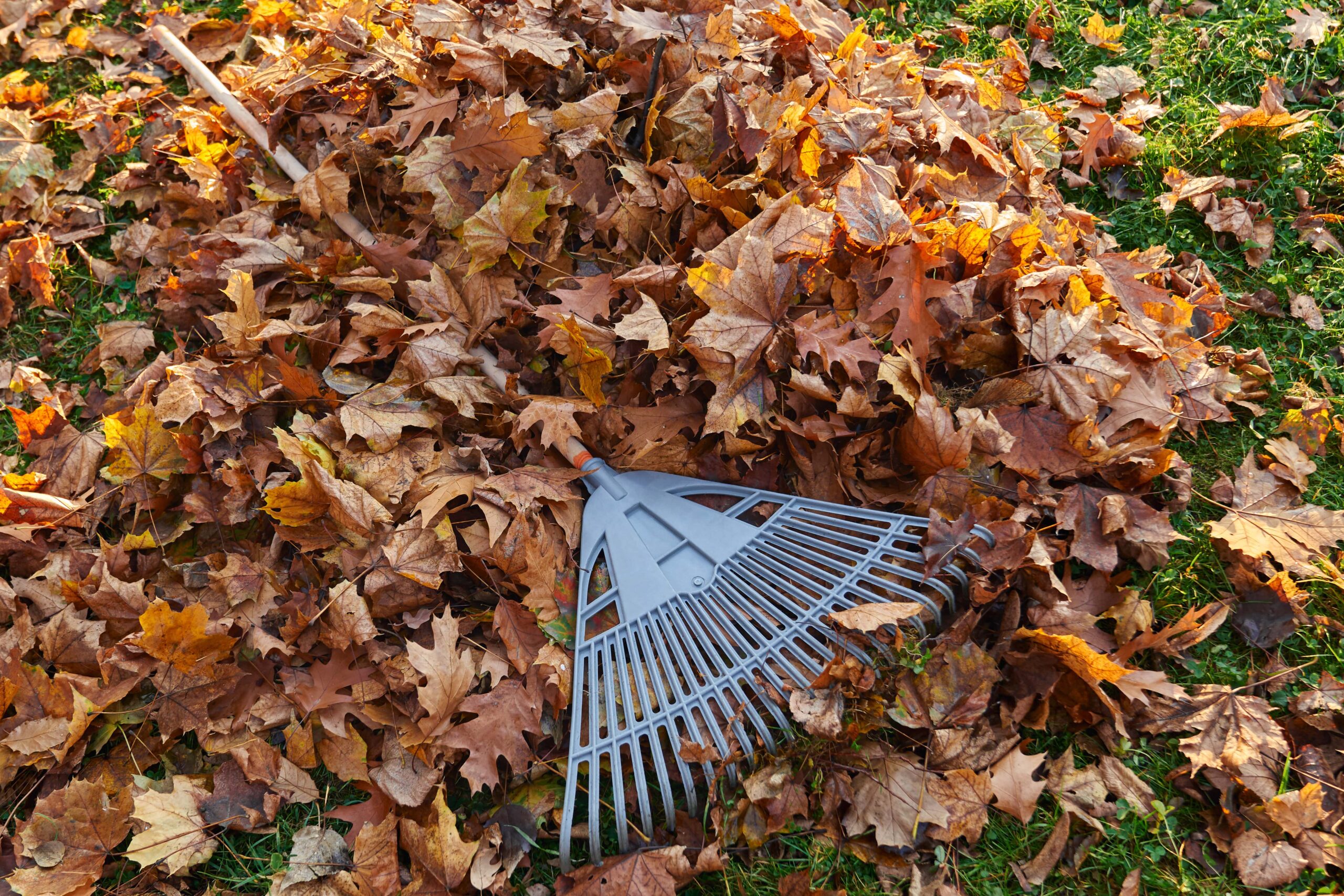 Top Tips for Keeping Your Home Sparkling Clean